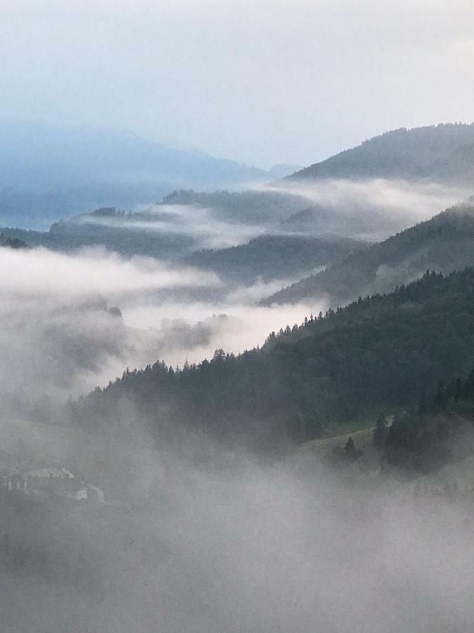 Das Landhaus Puchenstuben Kültér fotó