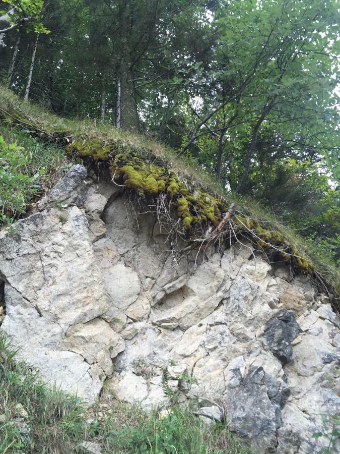 Das Landhaus Puchenstuben Kültér fotó